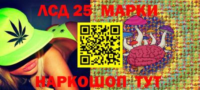 мяу мяу мука Нарткала