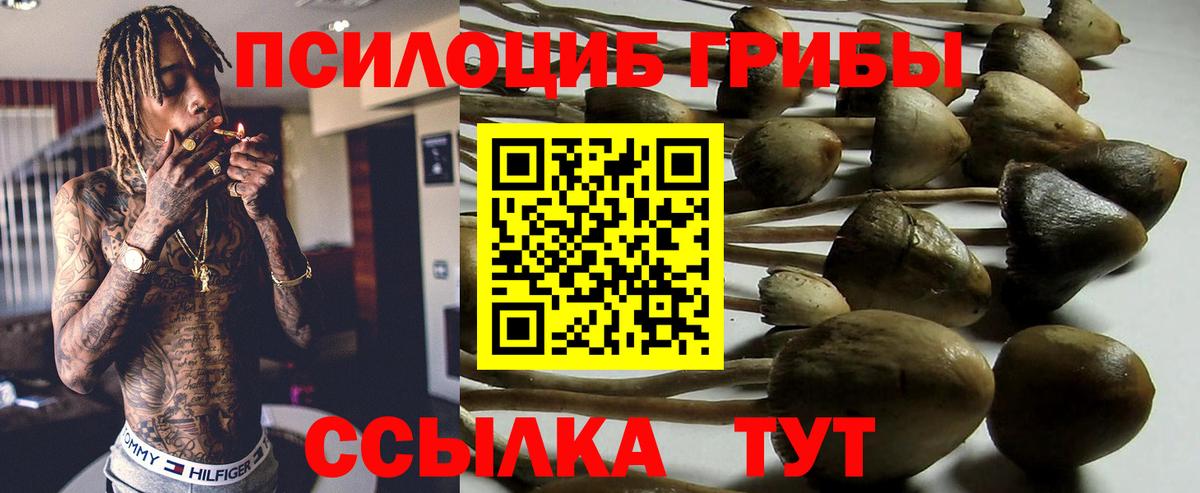 Псилоцибиновые грибы ЛСД  Вход с VPN  магазин продажи   Владивосток 